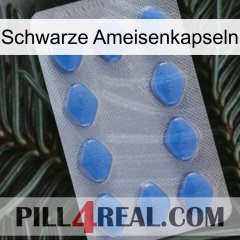 Black Ant Capsules 21